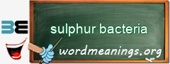 WordMeaning blackboard for sulphur bacteria